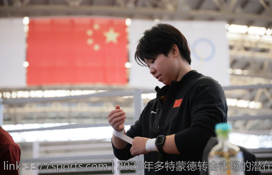 2026年多特蒙德转会市场的潜在目标分析