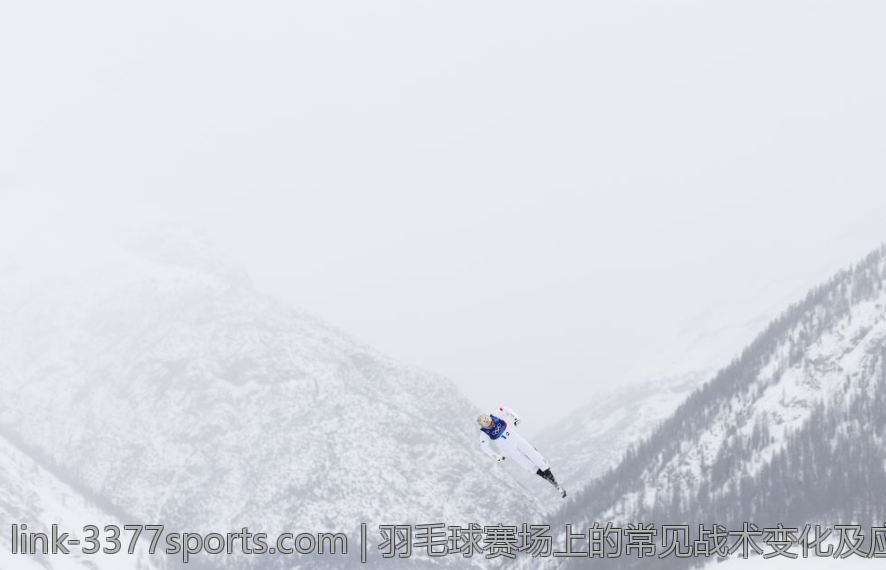 羽毛球赛场上的常见战术变化及应对