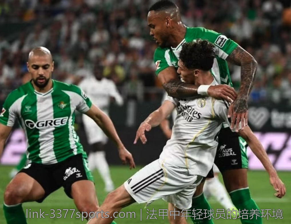 3377体育官网下载的投注系统解析