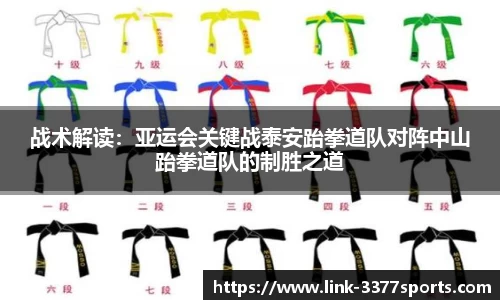 3377体育官网
