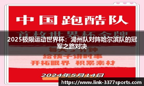 3377体育官方网站