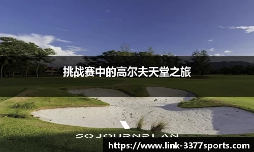 3377体育官方网站
